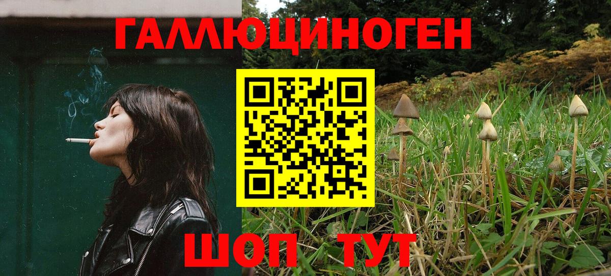 Псилоцибиновые грибы ЛСД Борисоглебск